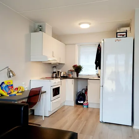 Modern Central Next To Beautiful Nature2424 Oslo
